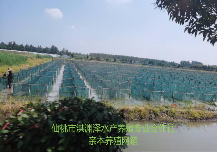 PP电子·仿照器(试玩游戏)官方网站