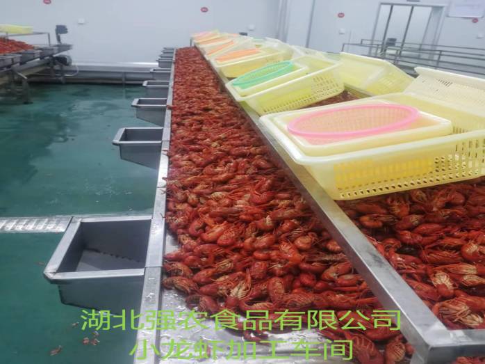 PP电子·仿照器(试玩游戏)官方网站