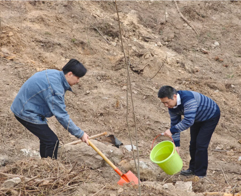 PP电子·仿照器(试玩游戏)官方网站