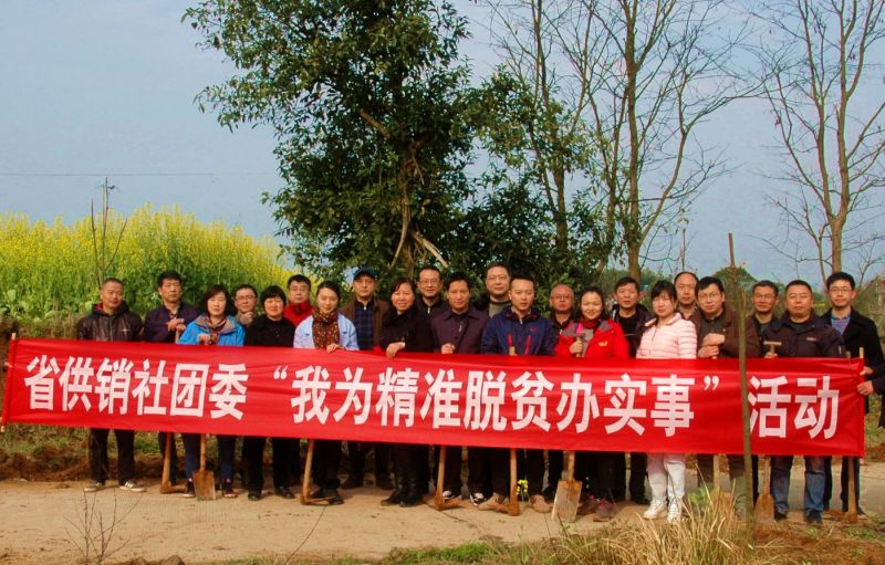 PP电子·仿照器(试玩游戏)官方网站