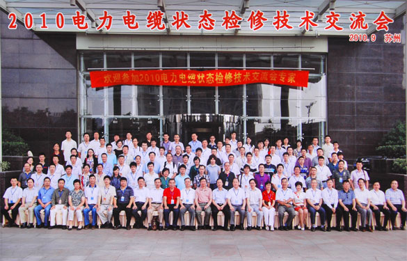 凯发k8加入2010年电力电缆状态磨练手艺交流会