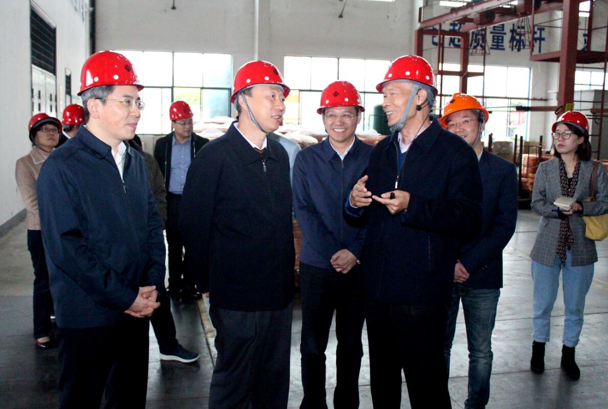 江苏省副省长马秋林一行来凯发k8电缆调研