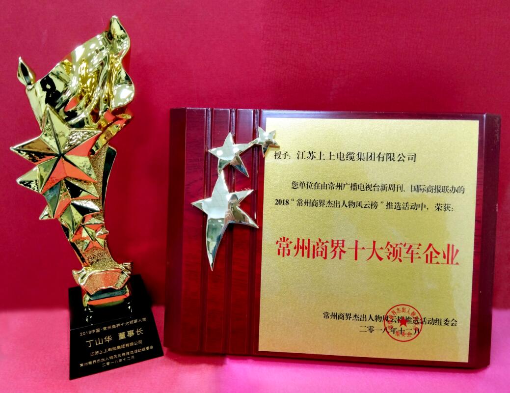 2018年12月6日，，，，，丁山华董事长荣获“常州商界十大领武士物”