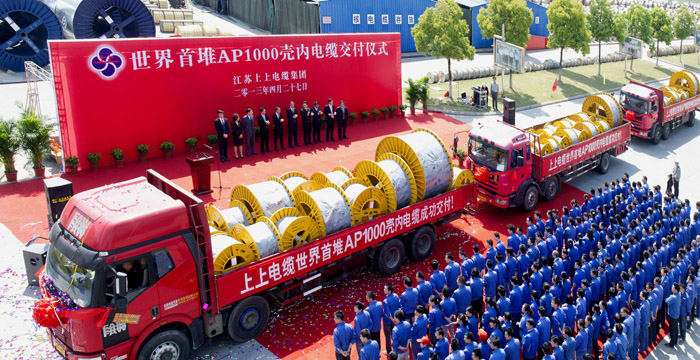 凯发k8电缆“三代核电站用电缆及质料要害焦点手艺研发及工业化”项目顺遂通过完工验收