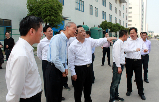 常州市市长丁纯来凯发k8电缆督查新能源项目建设