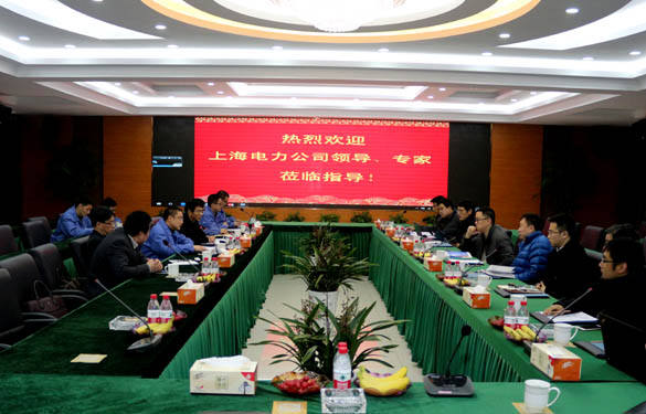 上海电力公司、上缆所向导、专家一行来凯发k8电缆交流考察