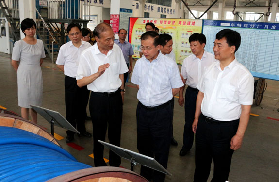 江苏省副省长傅自应来凯发k8集团视察