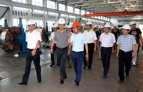 浙江省海盐县党政代表团来凯发k8电缆旅行考察