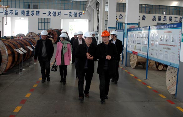 2015年3月13日，，，，金坛市经信局向导一行来凯发k8电缆考察