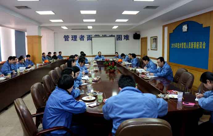 凯发k8召开2015年手艺、治理职员新春座谈会