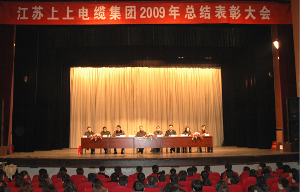 凯发k8盛大召开2009年度总结表扬大会