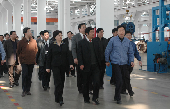 安徽省天长市党政代表团百余人来凯发k8集团旅行考察