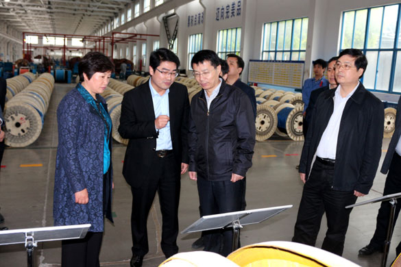 巢湖市委副书记张生一行来凯发k8集团旅行考察