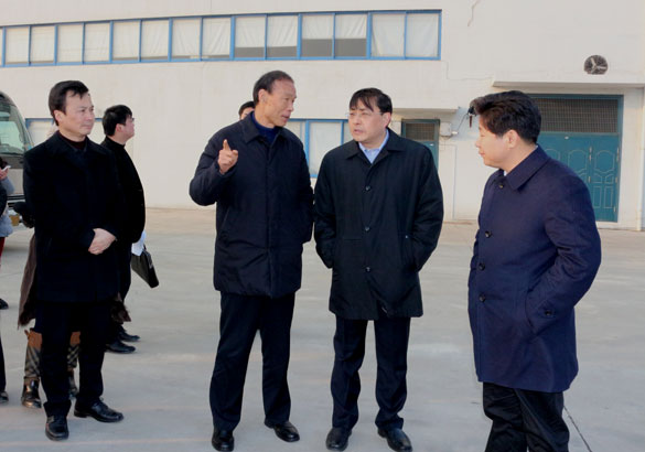 常州市市长费高云一行来凯发k8督查新开工项目