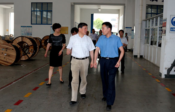 常州市人大向导一行来凯发k8集团调研