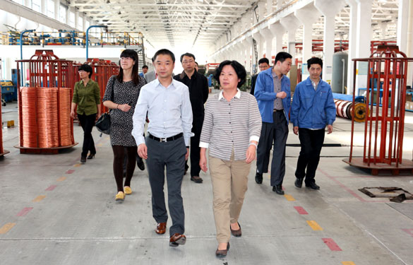 江苏省环保厅总工程师刘建琳来凯发k8集团调研