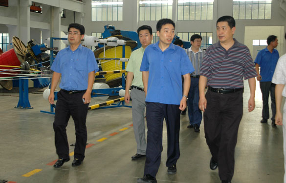 淮南市王市长一行来凯发k8旅行考察