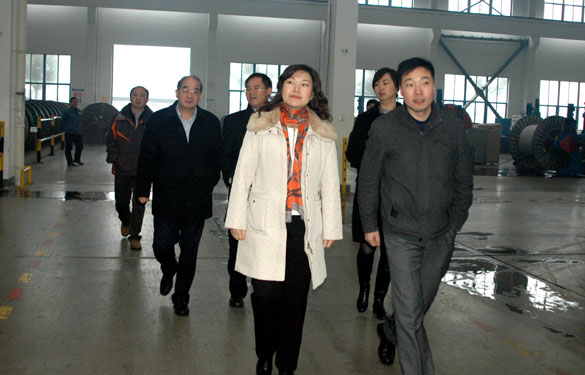 中关村管委会向导来凯发k8集团旅行考察