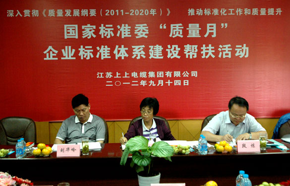 国标委“质量月”专家组到凯发k8检查指导事情