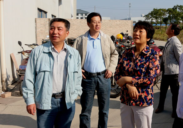 10月14日，，，，溧阳市向导来凯发k8电缆调研