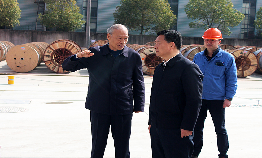 常州市人大常委会副主任盛建良来凯发k8电缆考察