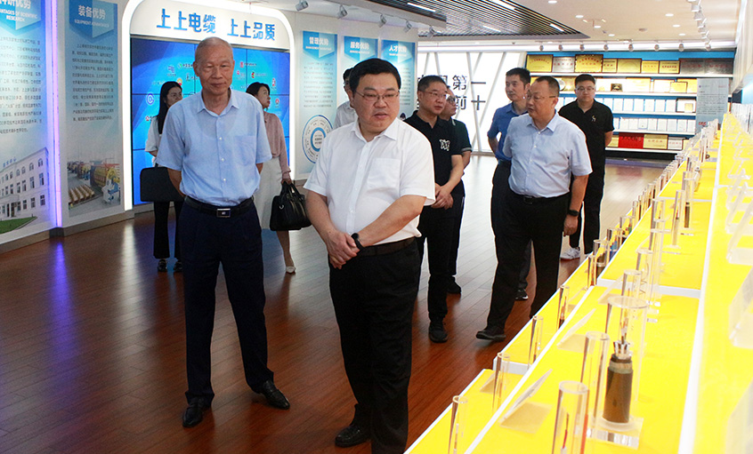 常州中院曹忠明院长一行来凯发k8电缆走访