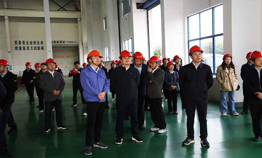 安徽池州青阳县党政代表团一行来凯发k8电缆考察