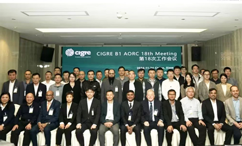 凯发k8电缆受邀出席CIGRE绝缘电缆专委会亚太区第18次年会并做专题讲话