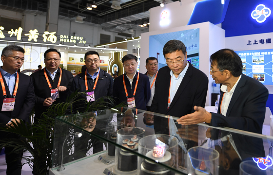 江苏省委常委、常务副省长马欣莅临凯发k8展位-2.jpg